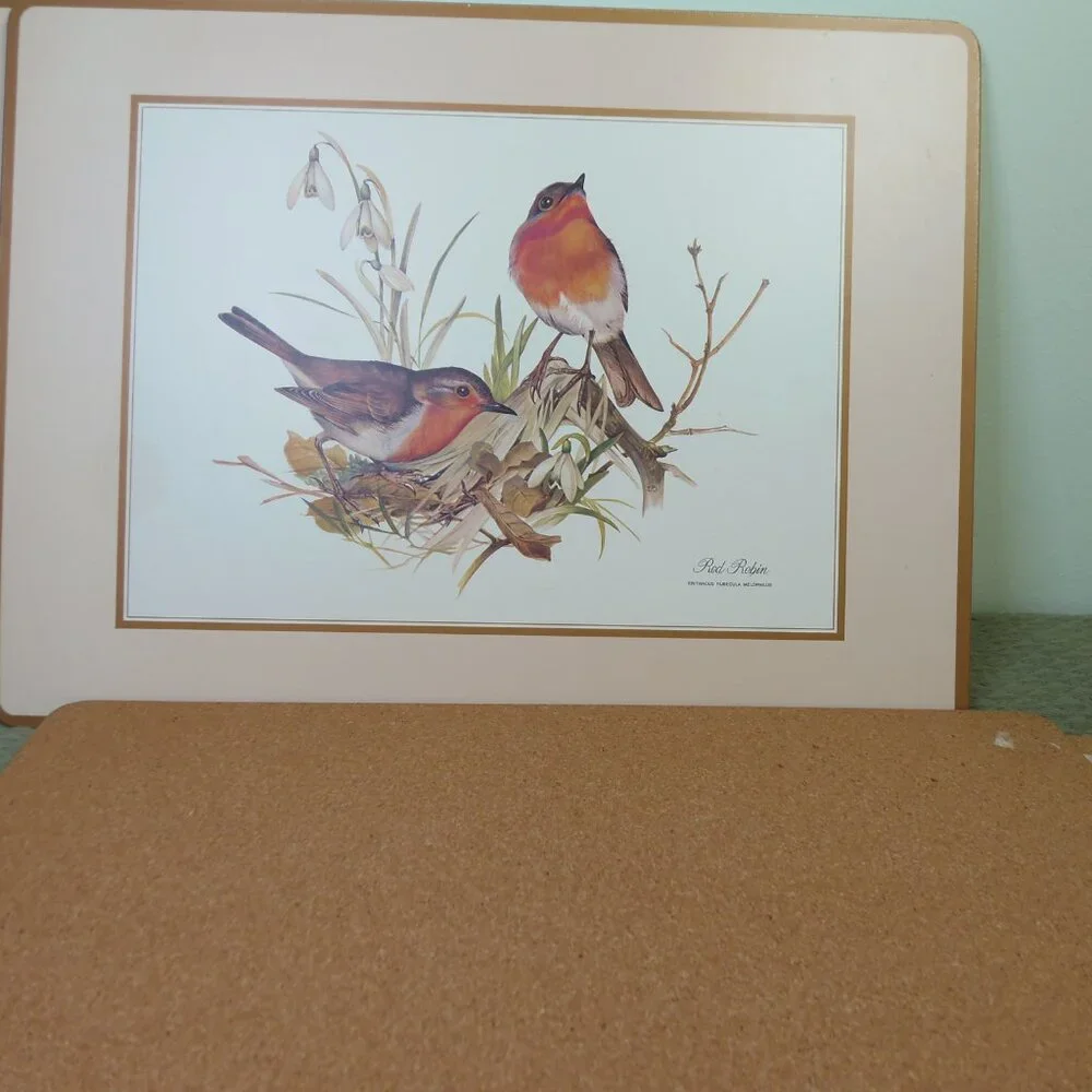 Vintage‎ Placemat Place boards Bird Pictures Set -4 Table Settings Cottage Core